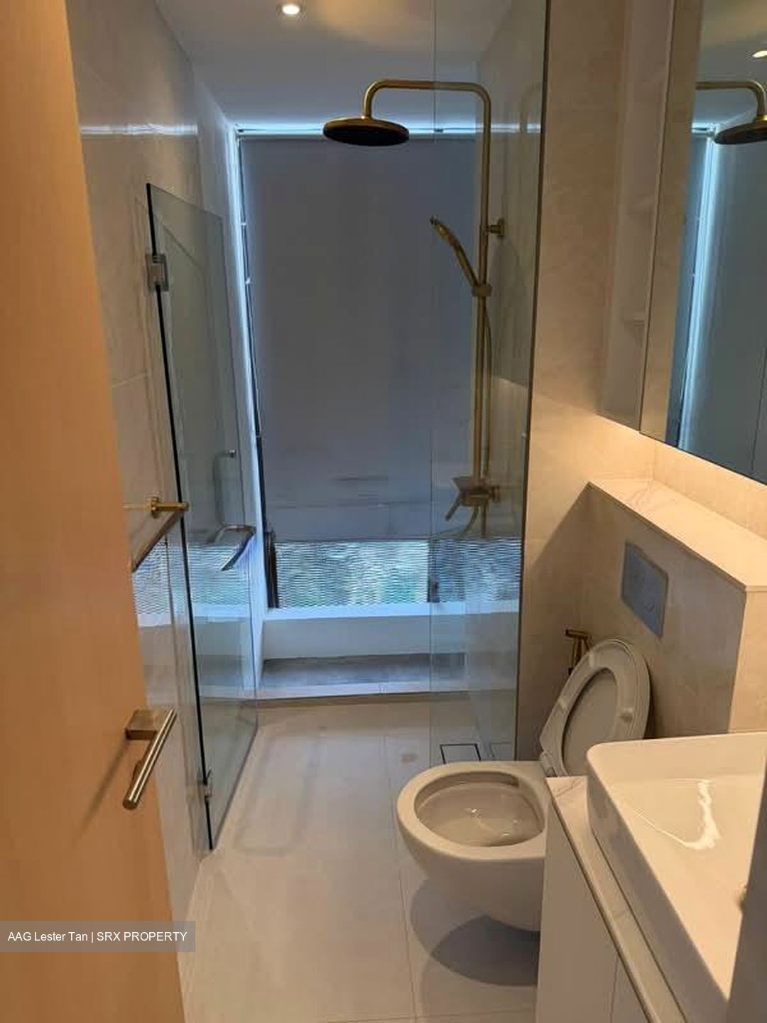 Newton Suites (D11), Apartment #561757681